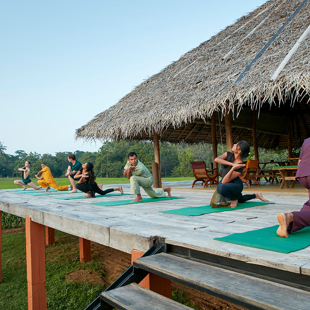 Ayurveda Intense - 